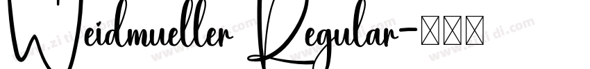 Weidmueller Regular字体转换